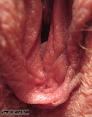 wife pussy, pink, hole, wife pussy