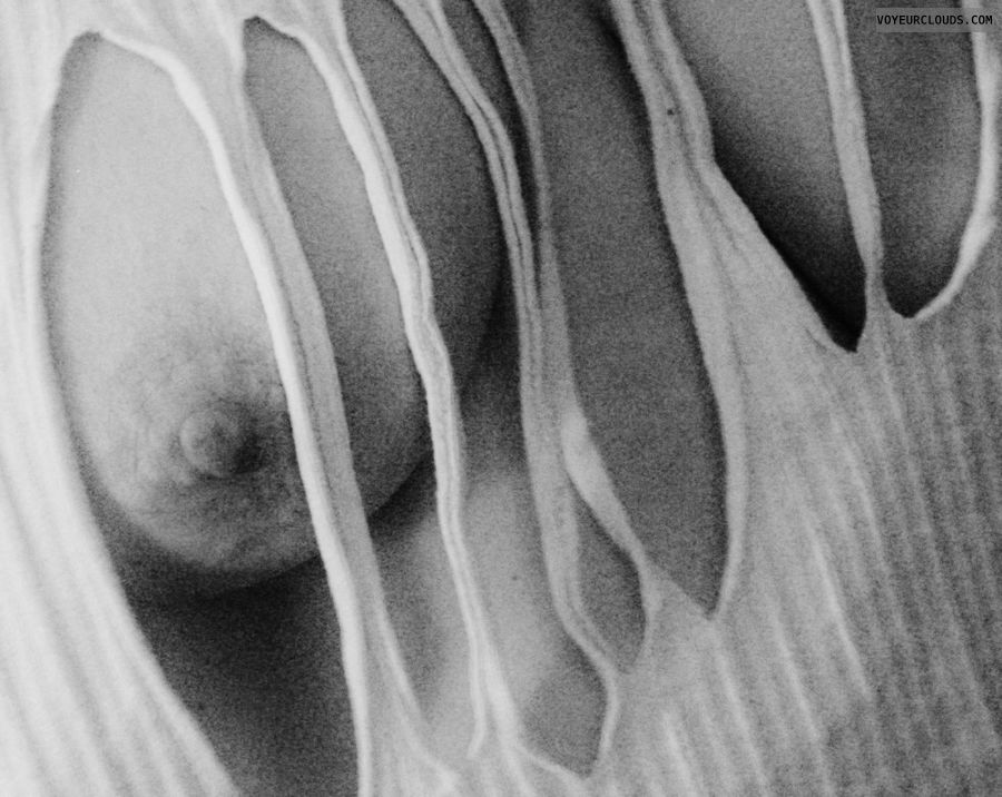 hard nipple, tits, black & white, big tits