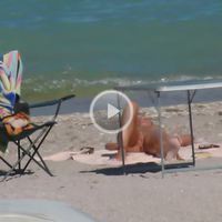 Beach Voyeur Video