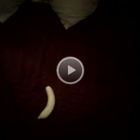 Milf Masturbation Video
