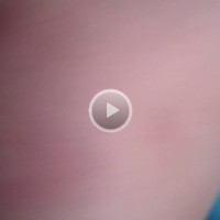 Wife Pussy Video