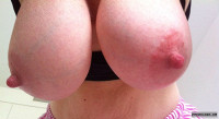 Erect Nipples