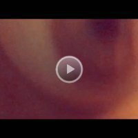 Oral Sex Video
