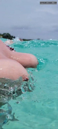 Ocean Tits