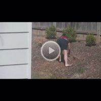 Neighbor Video