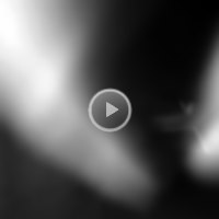 Lulo's  Pussy Wife  Video